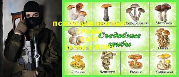 прущие крисы Балахна