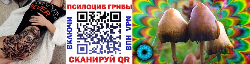 Псилоцибиновые грибы GOLDEN TEACHER Свирск